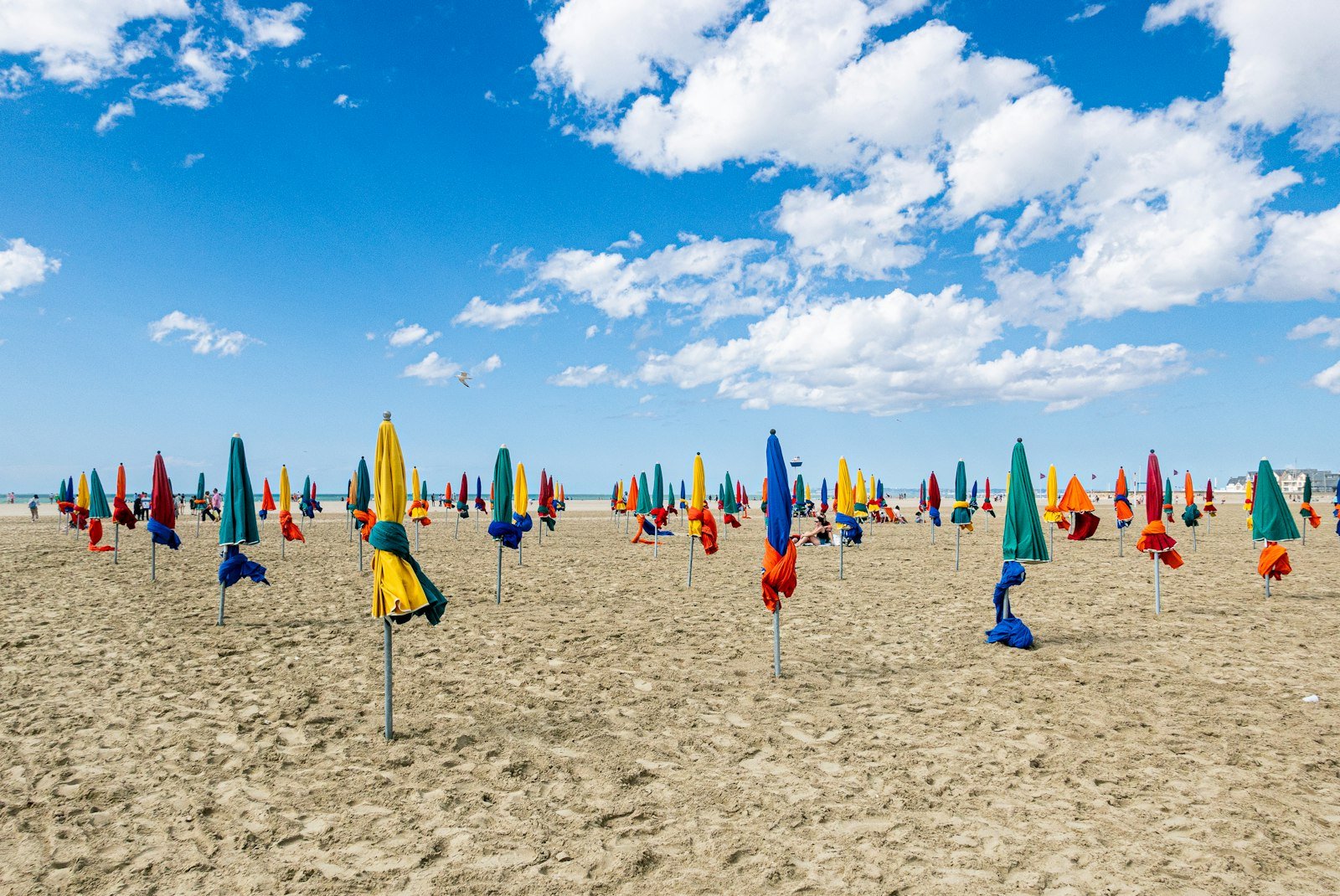 Les parasols de Deauville